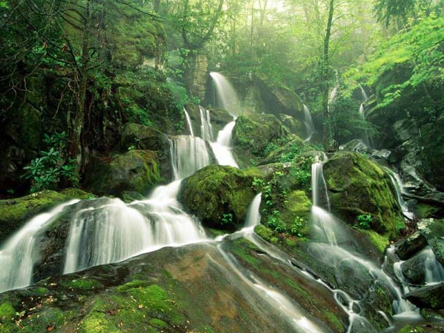 great Smoky Mountains Nemzeti Park