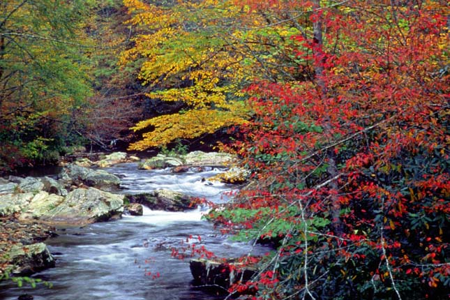 great Smoky Mountains Nemzeti Park