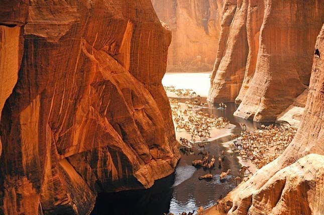 Guelta d'Archei