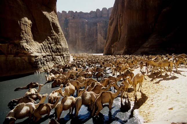 Guelta d'Archei