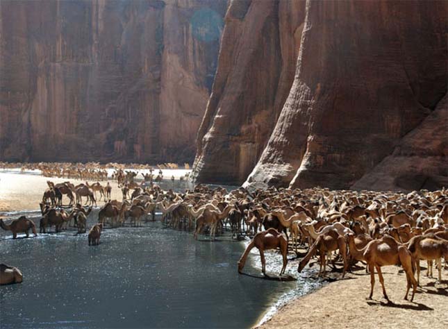 Guelta d'Archei