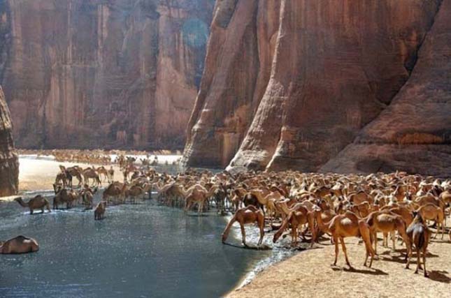 Guelta d'Archei