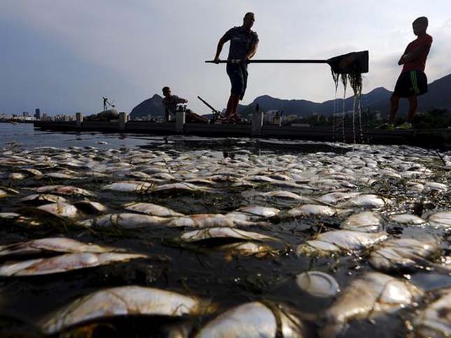 Halpusztulás Rio De Janeiro