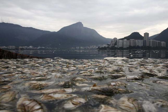 Halpusztulás Rio De Janeiro
