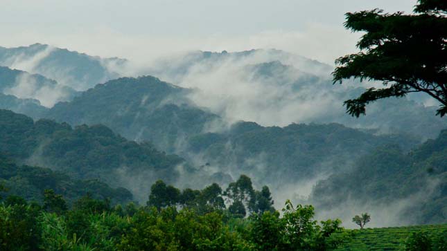 Virunga Nemzeti Park