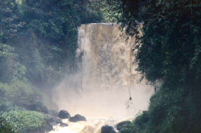 Virunga Nemzeti Park