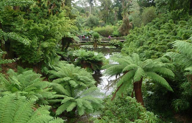 Heligan elveszett kertjei