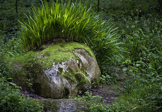 Heligan elveszett kertjei