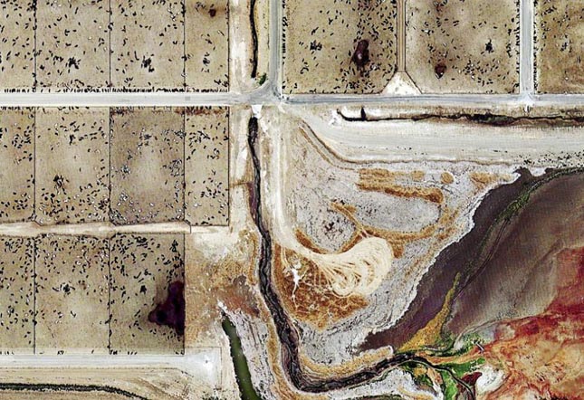 hátborzongató légi felvételek a húsipar pusztításáról