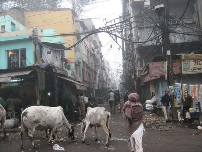 India utcakép