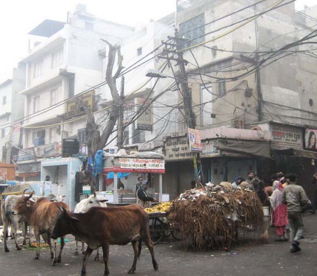India utcakép