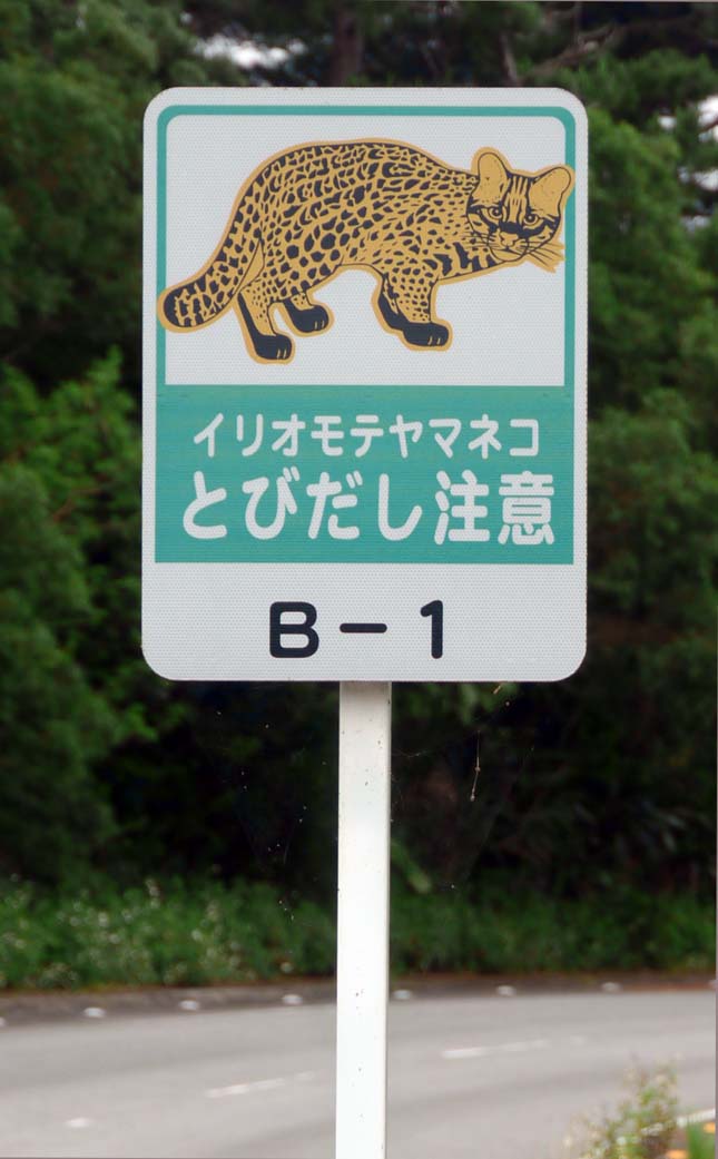 Iriomote, Japán