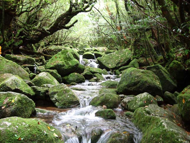 Jakusima-sziget, Japán