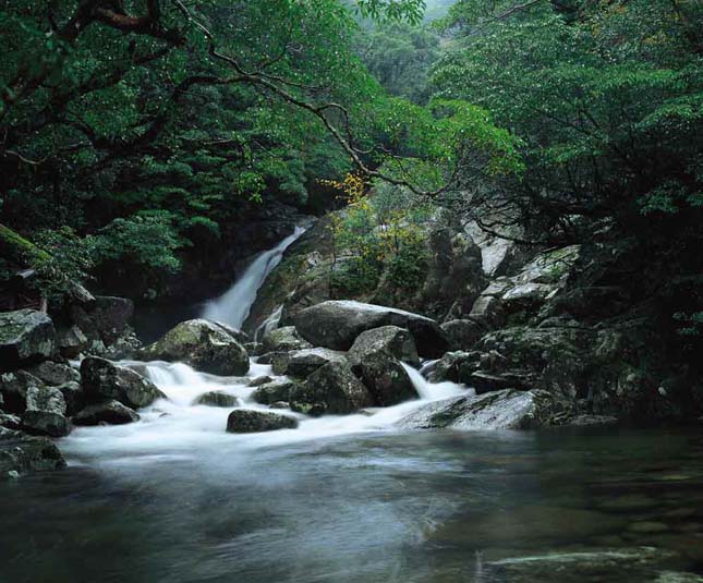 Jakusima-sziget, Japán