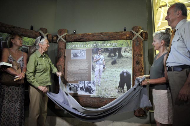 Jane Goodall Budapesten