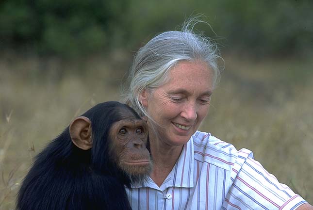 Jane Goodall