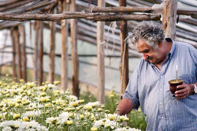 José Mujica