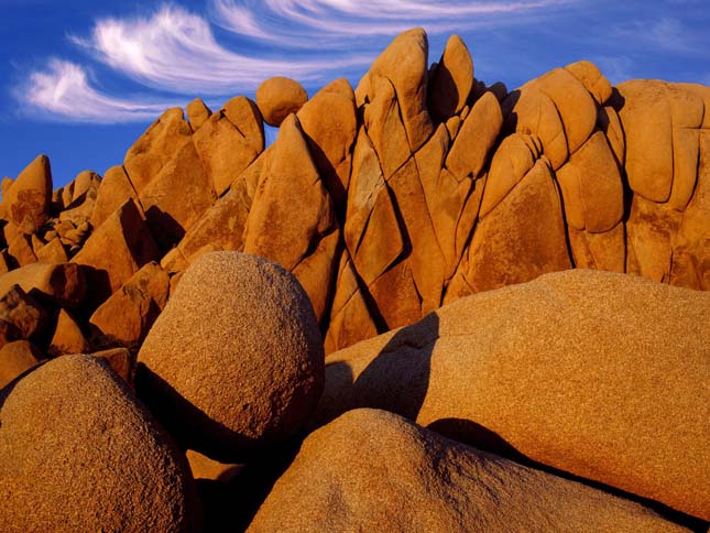 Joshua Tree Nemzeti Park