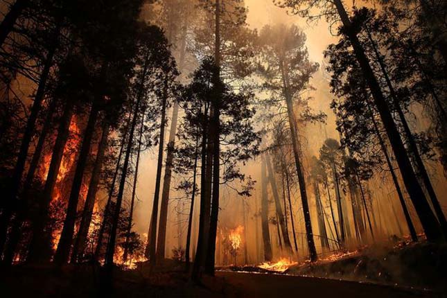 Kaliforniai erdőtűz