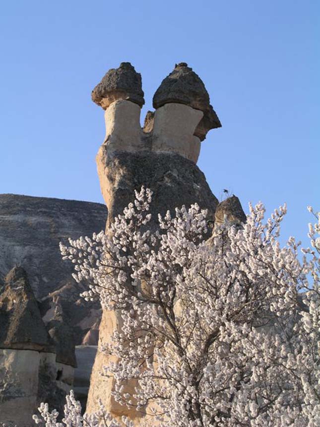 Kappadókia