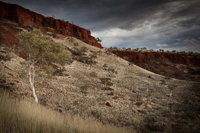 Karijini Nemzeti Park