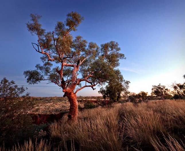 Karijini Nemzeti Park