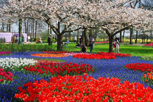 Keukenhof, tulipánkert Hollandiában