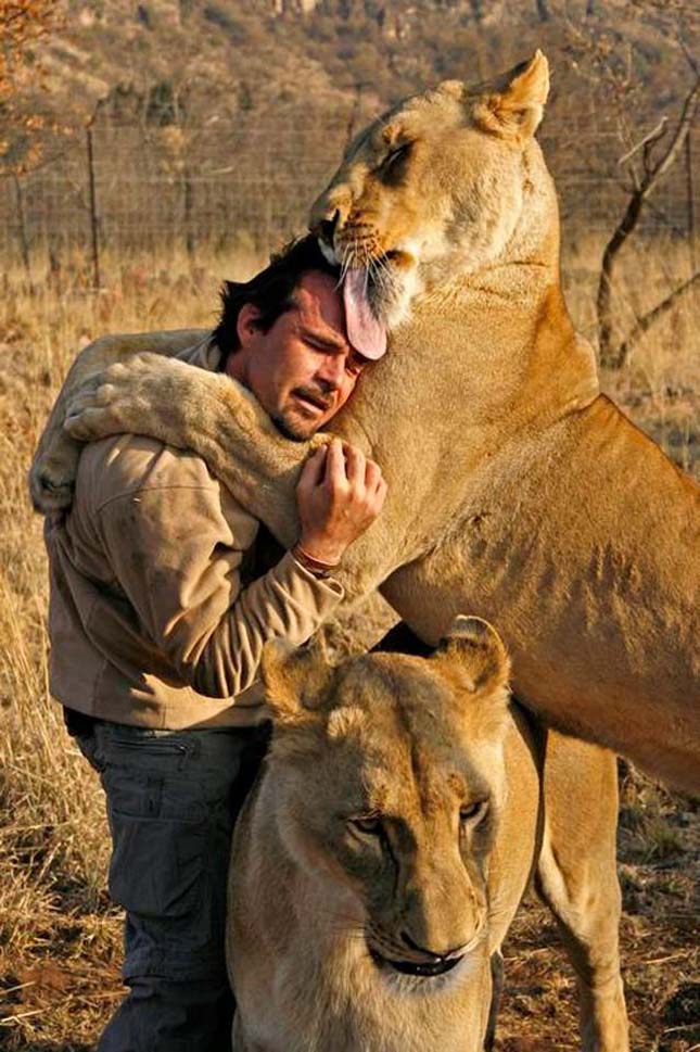 Kevin Richardson, az oroszlánokkal suttogó