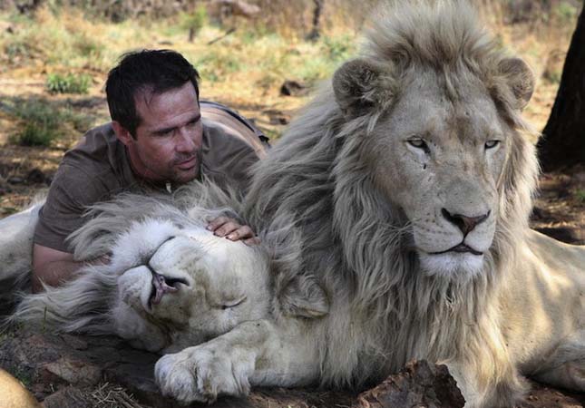 Kevin Richardson, az oroszlánokkal suttogó