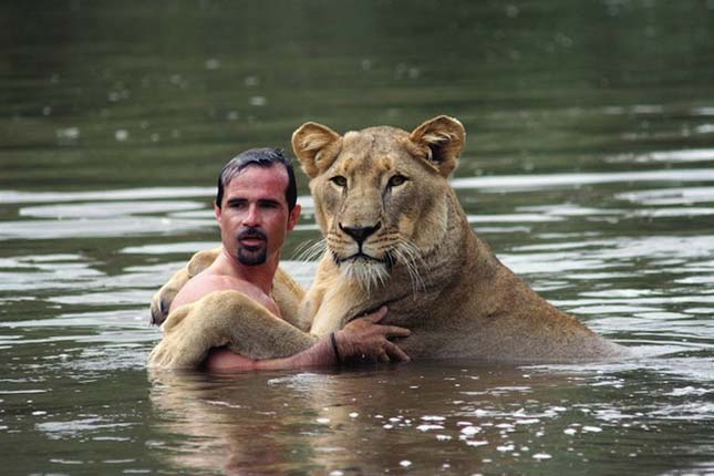 Kevin Richardson, az oroszlánokkal suttogó