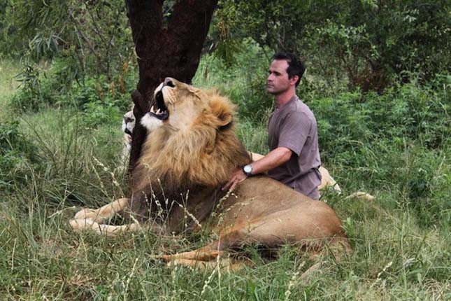 Kevin Richardson, az oroszlánokkal suttogó