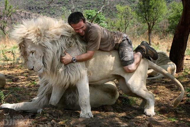 Kevin Richardson, az oroszlánokkal suttogó