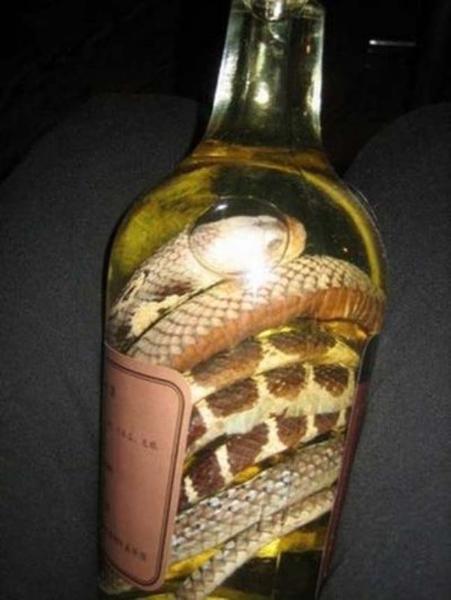 Kígyó bor