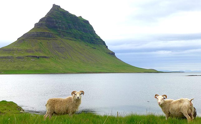 Kirkjufell hegy Izlandon