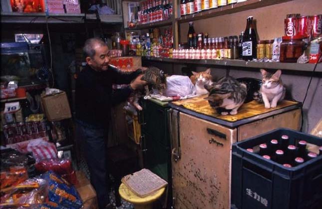 Kowloon Walled City, a bűnös város