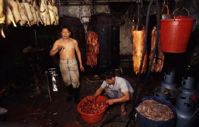 Kowloon Walled City, a bűnös város