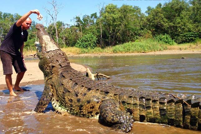 Krokodil túra