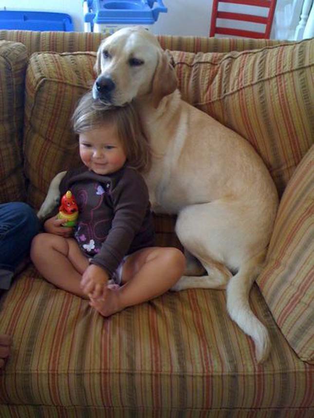 Kutyák és gyerekek