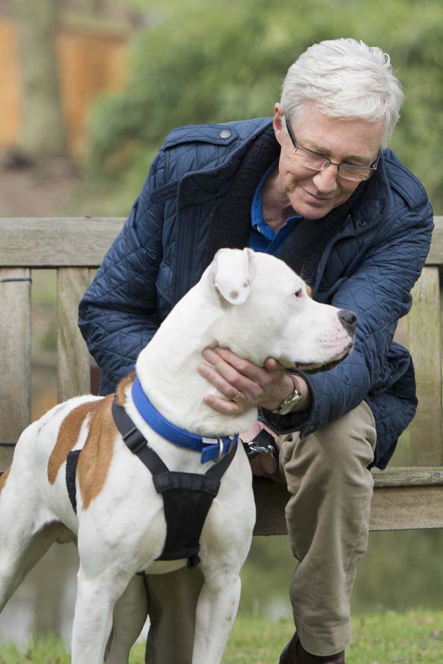 Paul O'Grady és kutyái