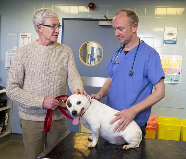 Paul O'Grady és kutyái