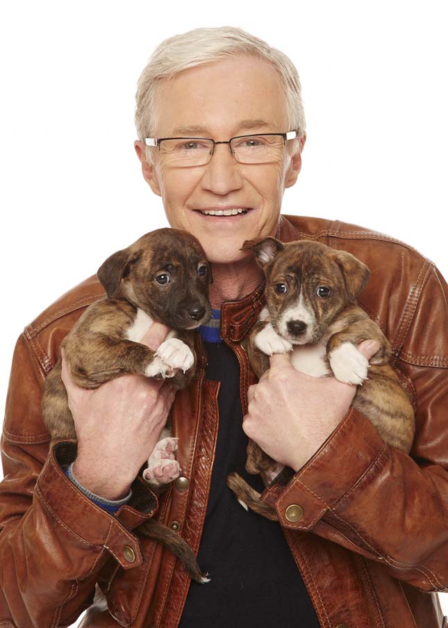 Paul O'Grady és kutyái