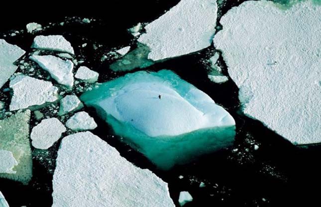 Yann Arthus-Bertrand légi fotói