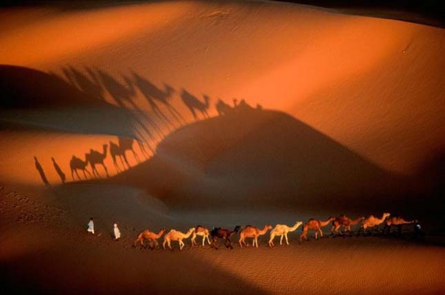 Yann Arthus-Bertrand légi fotói