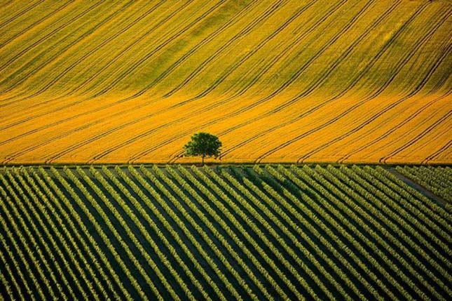 Yann Arthus-Bertrand légi fotói