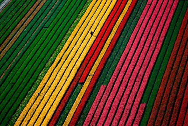 Yann Arthus-Bertrand légi fotói