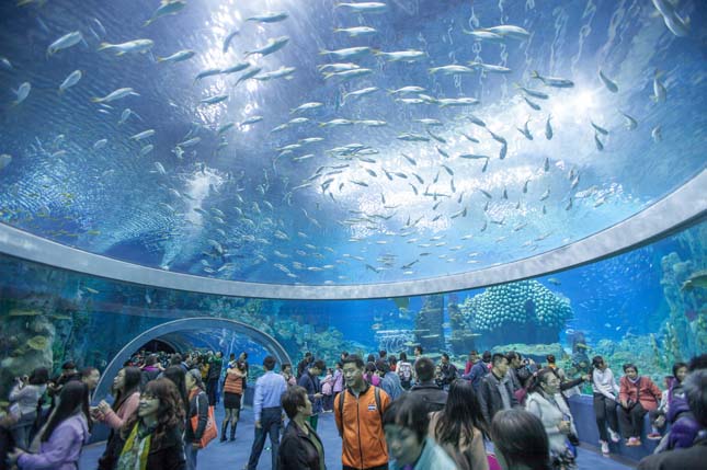 A Világ legnagyobb akváriuma