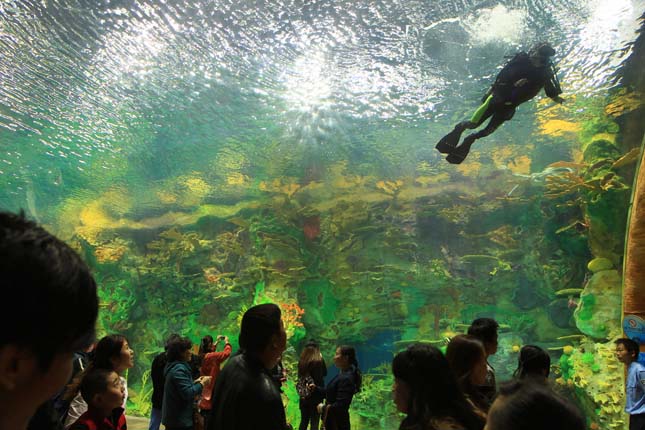 A Világ legnagyobb akváriuma