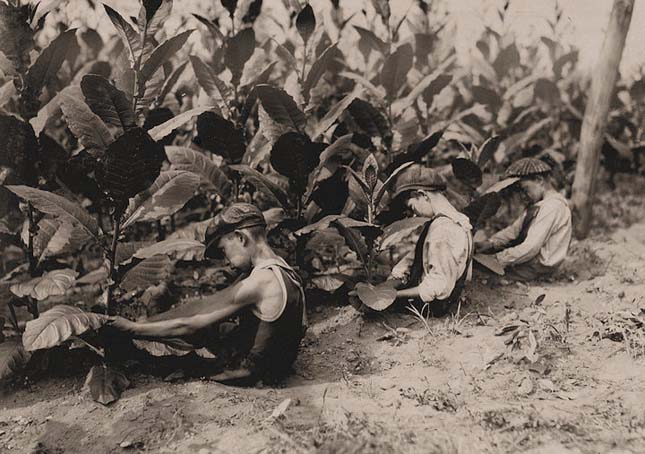 Lewis Hine