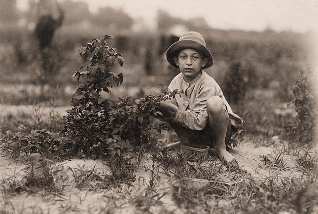 Lewis Hine