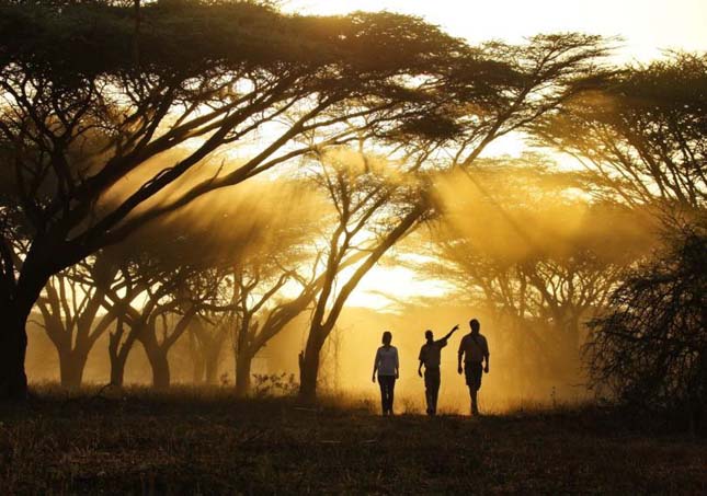 Loisaba, Kenya